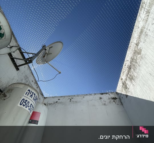 רשת למניעת כניסת יונים על גג עם אנטנה
